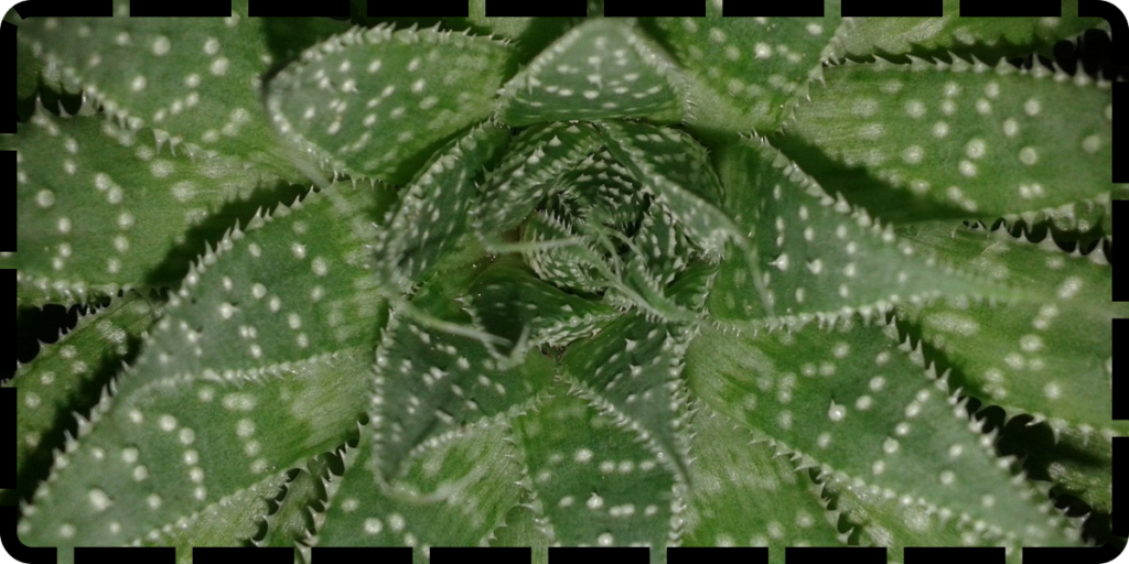 This image has an empty alt attribute; its file name is Untitled-design-26-1024x512.png
