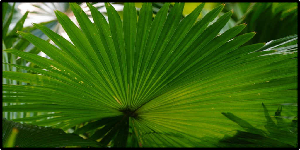 This image has an empty alt attribute; its file name is Untitled-design-46-1024x512.png