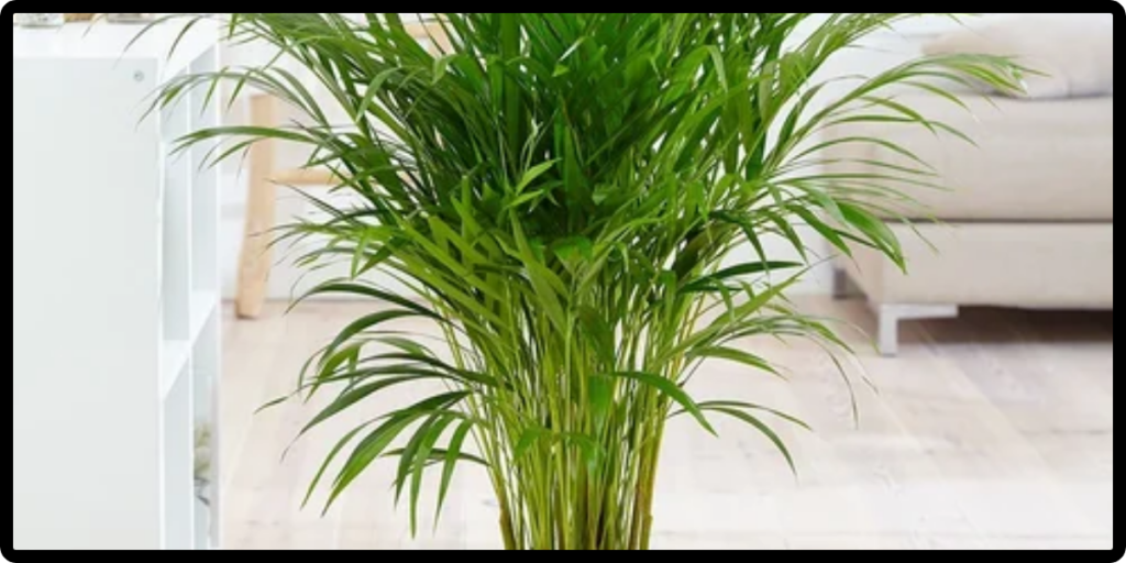 This image has an empty alt attribute; its file name is Untitled-design-47-1024x512.png