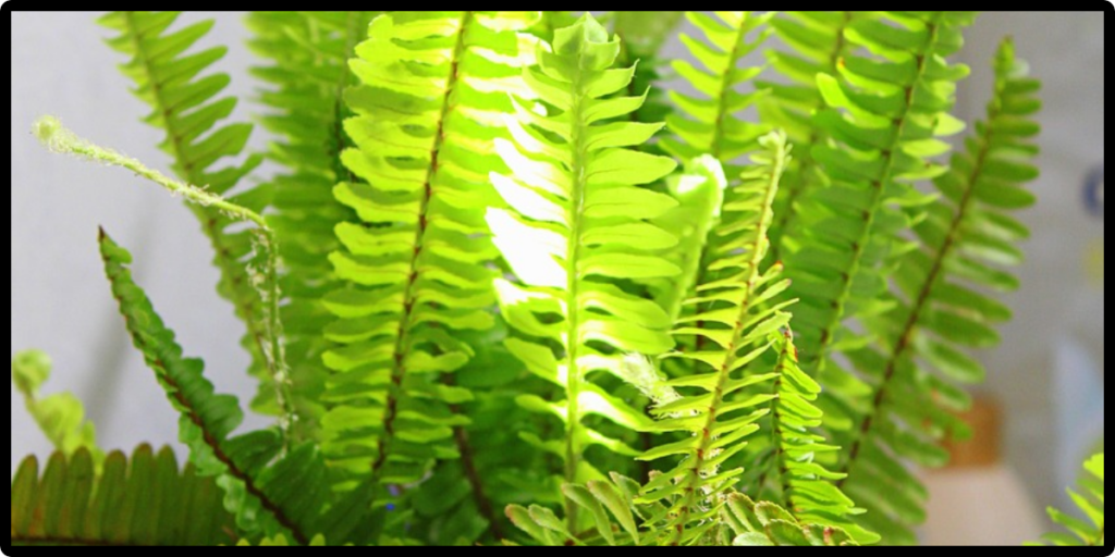 This image has an empty alt attribute; its file name is Untitled-design-48-1024x512.png