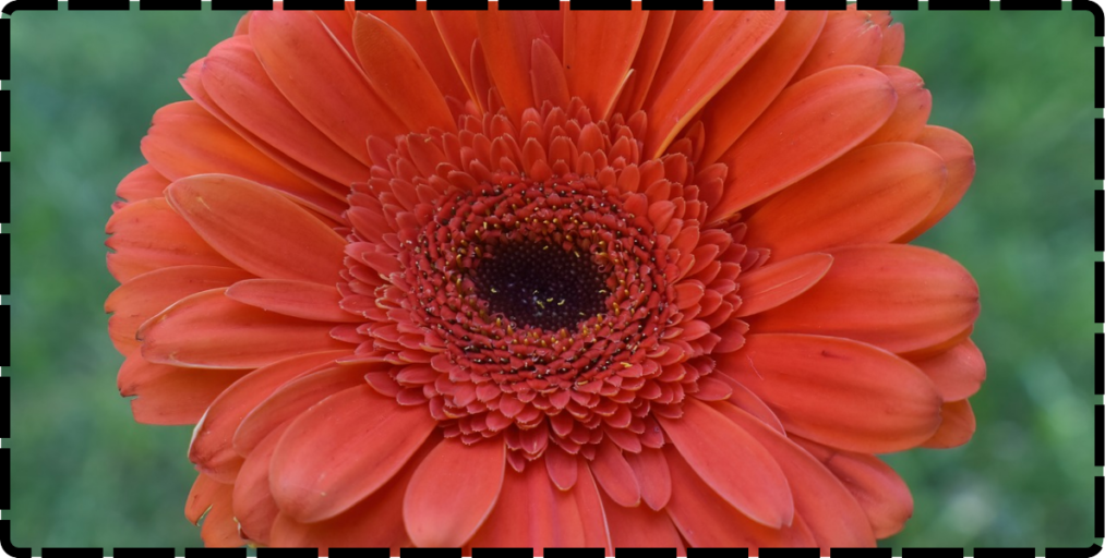 This image has an empty alt attribute; its file name is image-42.png