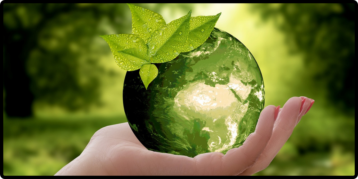 Eco-Friendly Lifestyle Tips for a Healthy You and a Thriving Planet