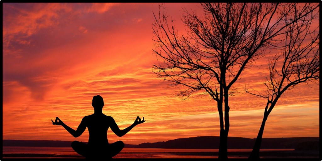 GREEN HEALINGS WITH MEDITATIONAL PLANTS