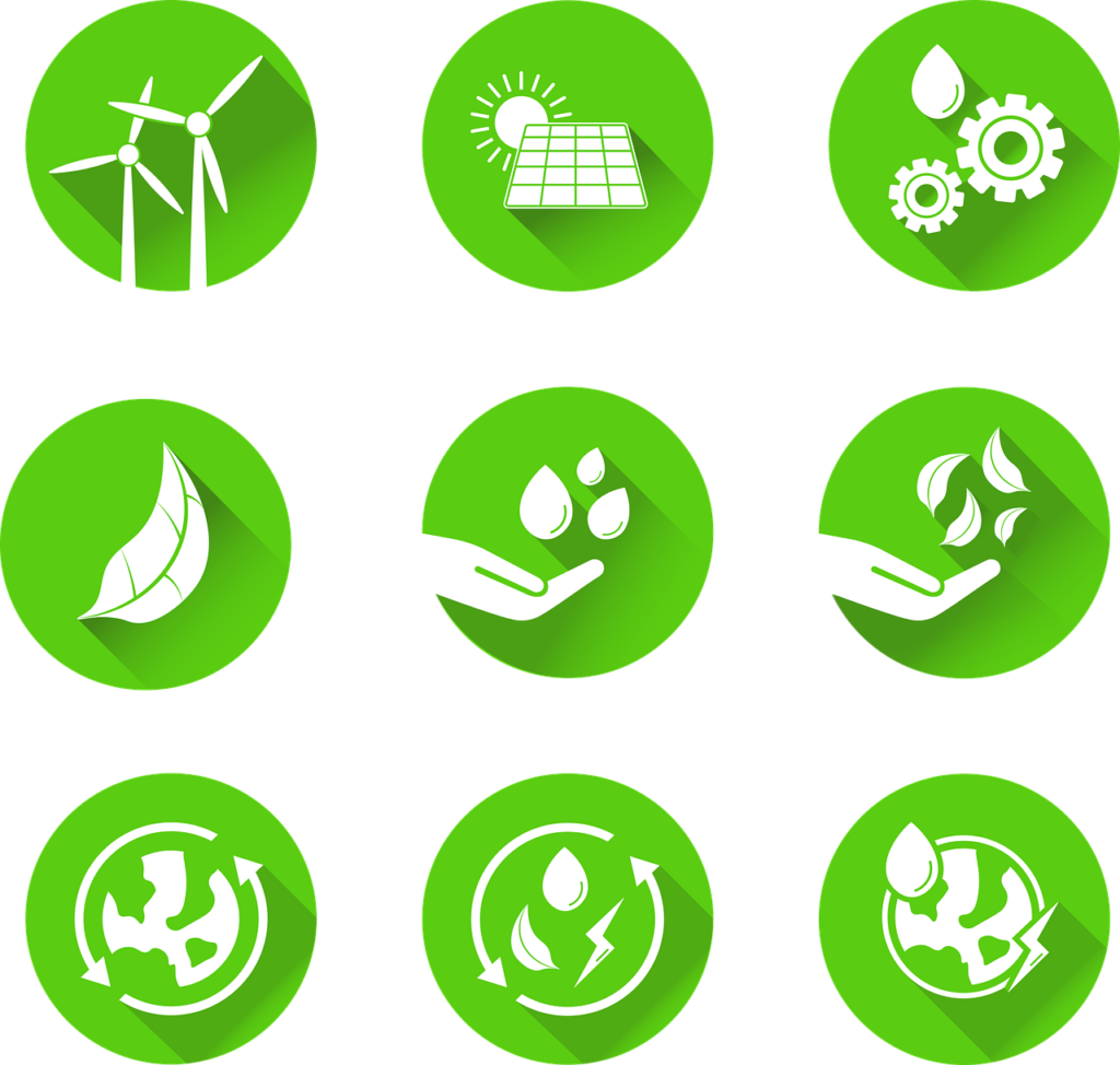 Mindful Consumption: Choosing Sustainable Products for a Healthier Future