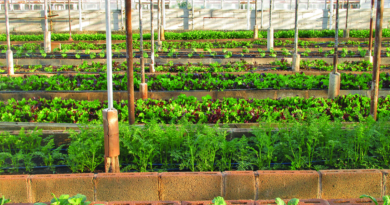 GREENHOUSE ORGANIC TRENDS IN FARMING