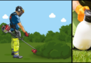 SPRAYING PLANTS IN GARDEN