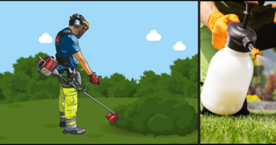 SPRAYING PLANTS IN GARDEN