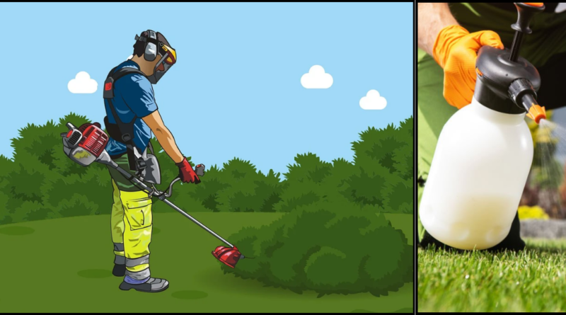 SPRAYING PLANTS IN GARDEN