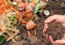 kitchen waste fertilizers