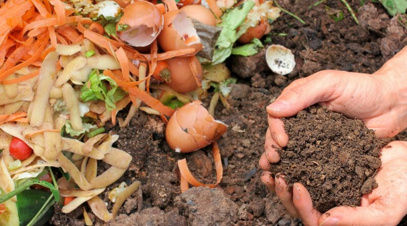 kitchen waste fertilizers