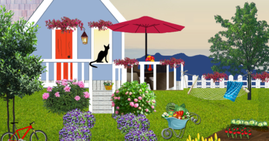 minimalist garden in house
