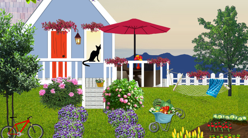 minimalist garden in house