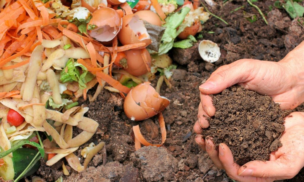 organic fertilizers
